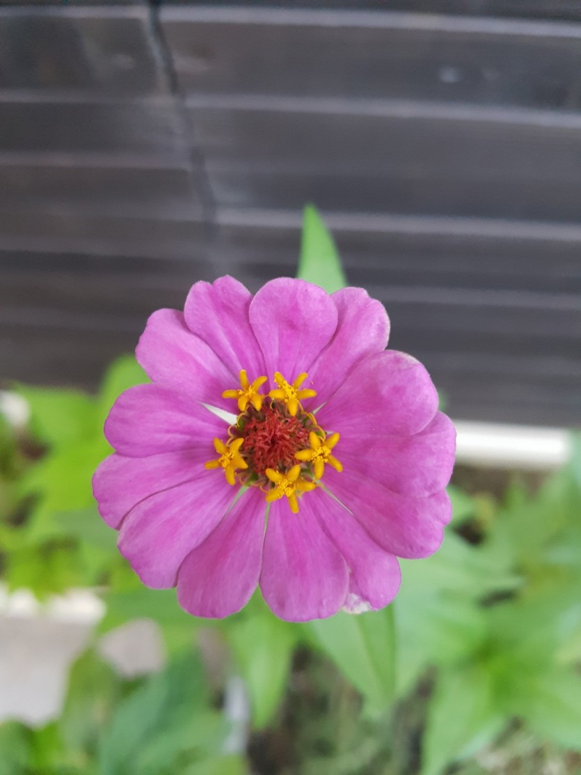 0d2d0febe34853693ac156ec0b8b9167_1753734845_4877.jpg