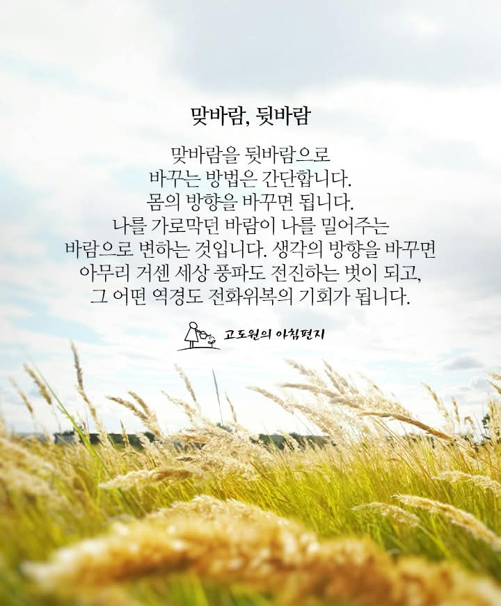 e944a9434860a9abf8d1c9953ca07ceb_1784498509_4888.jpg